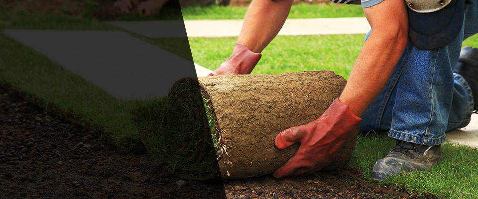 South Hadley Landscapers